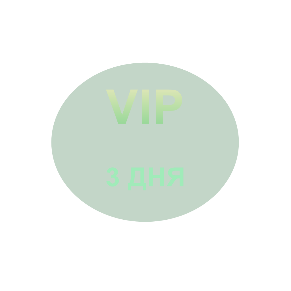 MAIN 3 дня VIP MAIN